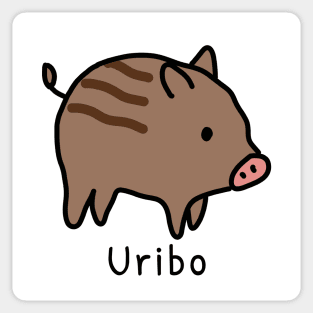 "Boar Piglet" in Japanese、Uribo Sticker